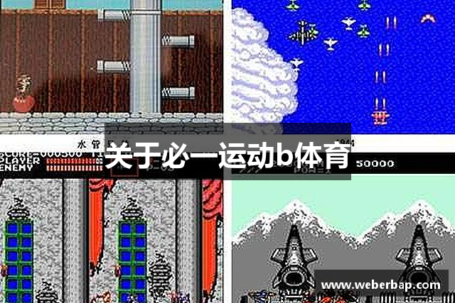 关于必一运动b体育